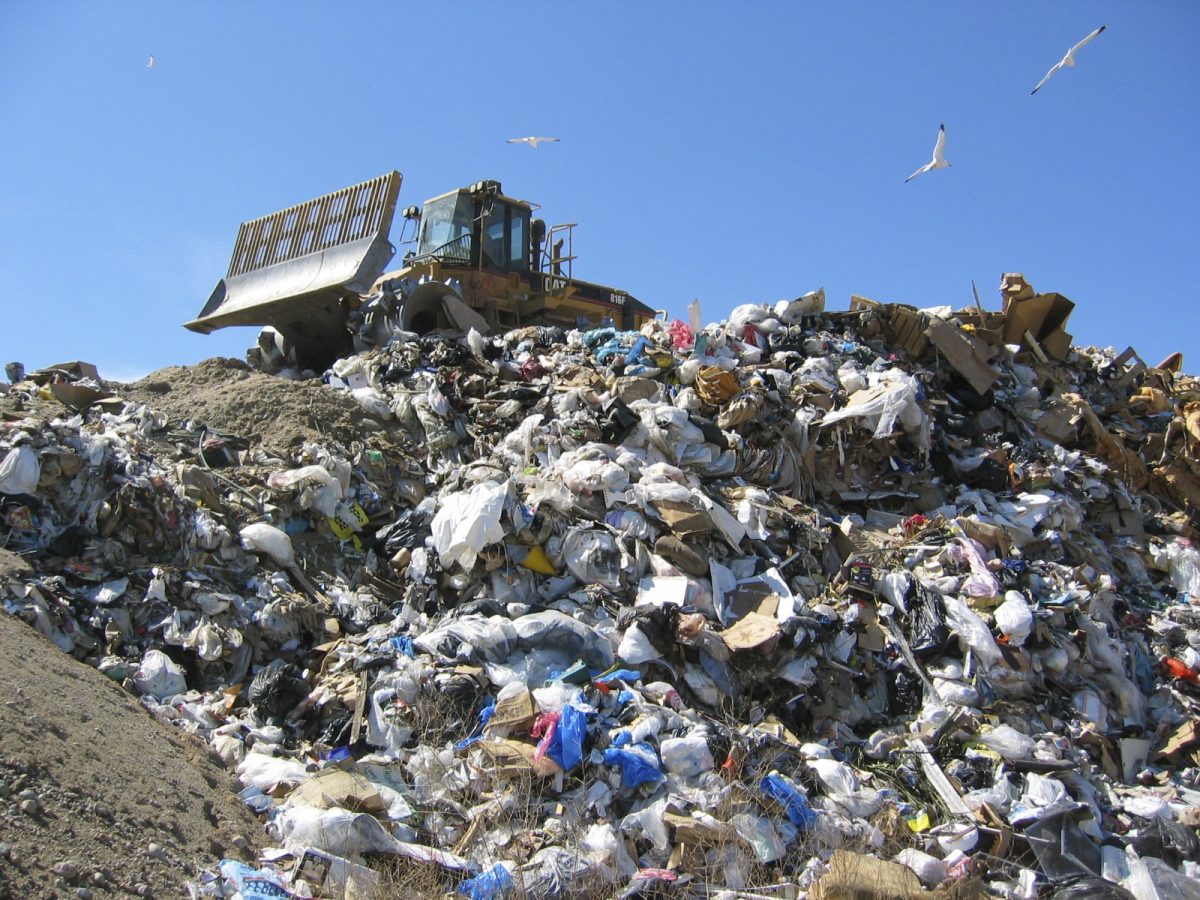 Trash Around DHS